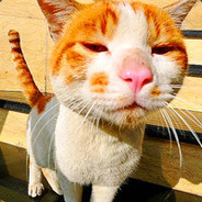 人狠话不多的欢哥啊