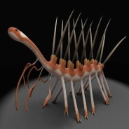 大爱仙尊顷刻炼化小熊