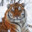 Tiger-Fitz