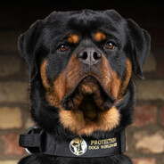 ⓇⓄⓉⓉⓌⒺⒾⓁⒺⓇ