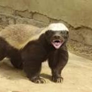 카아아악ㅏㅏㅏㅏㅏㅏ