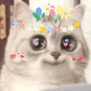 梦想是成为帕鲁糕手