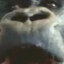 shtfckp