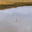 Sahar_gpg