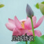 周四V50