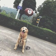 魔法骚女赖献文