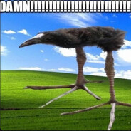 Spododo