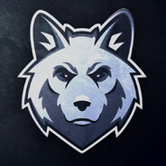 ToNiK13Rus avatar