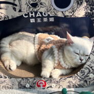 我的队友享大福。