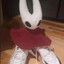 SHAW's avatar