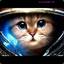 Space_Cat(إبليس)