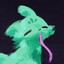 scug