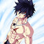 Gray Fullbuster