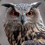 The Boss Owl