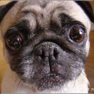 瞄准镜里深情の看着你