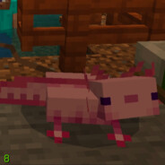 世界第一皮划艇