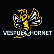 Vespula_Hornet