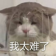猫叔c