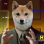 Mr Doge