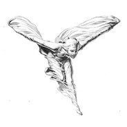 A T avatar