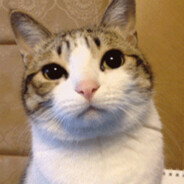 我新手大家教我