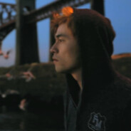 海鸥不在眷恋大海