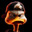 nodrtoy23