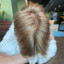 Gomme