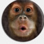 Monke