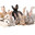 around 20 bunnies