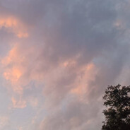 不吃羊的狼(TiAmo)