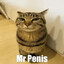 Mr Penis