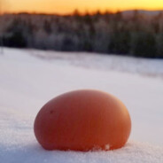 WinterEgg