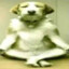 Ojivolta