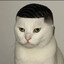 DeRacoon