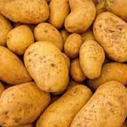 Potatus_5 avatar