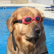 Doggo - steam id 76561198127497169