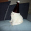sdfnhdsdxcv myfgcv
