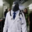 ttv/DoctorGolub