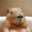 Ted