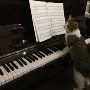 HyperYousah - steam id 76561198269215134