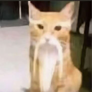 跟我学习幻影哈气