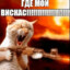 _-_Бешенный Кот_-_'s avatar