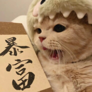 不关橘猫猫的事