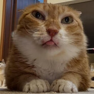 126 дней без секса.