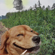 BdN