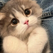 ꧁༺ AnGeL ༻꧂ - steam id 76561199643137262