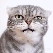 退堂鼓表演艺术家