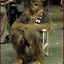 Chewbacca505