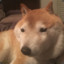 Borko